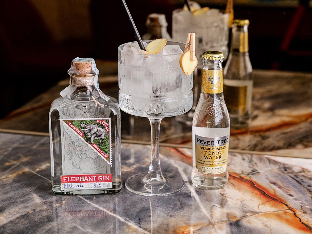 Gin Tonic Elephant