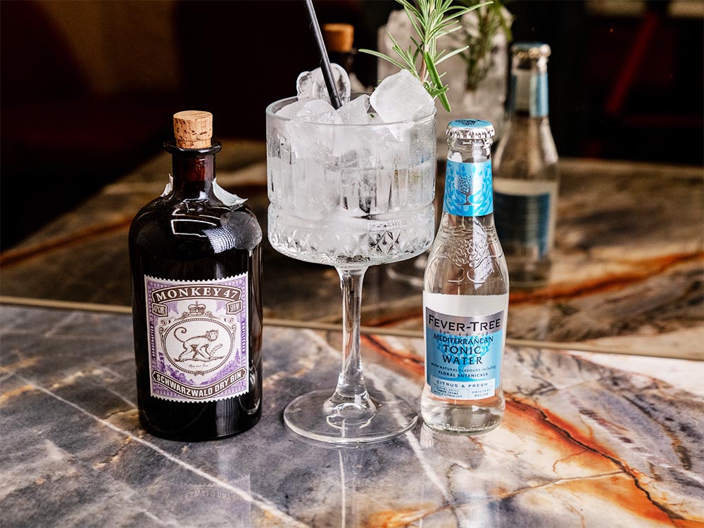 Gin Tonic Monkey 47 dry